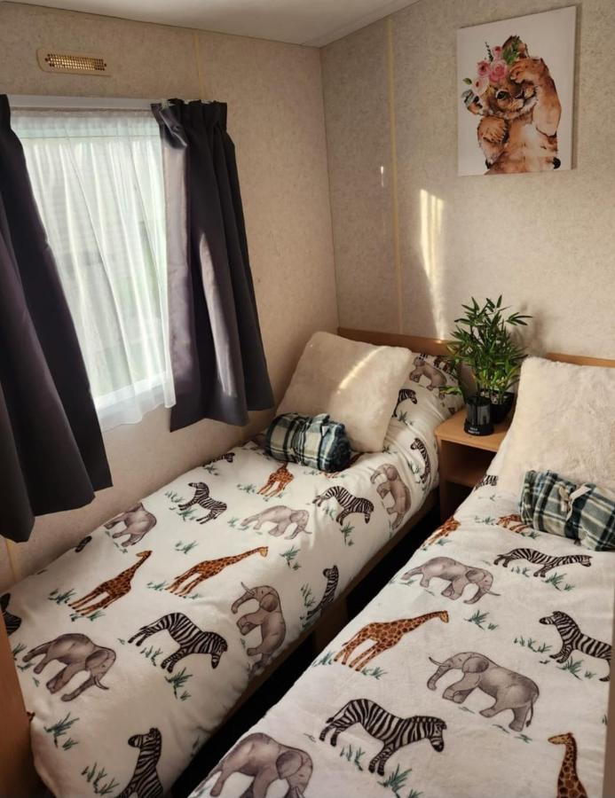 ホテル Comfy Caravan On Marine Park リル エクステリア 写真