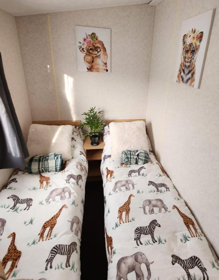 ホテル Comfy Caravan On Marine Park リル エクステリア 写真